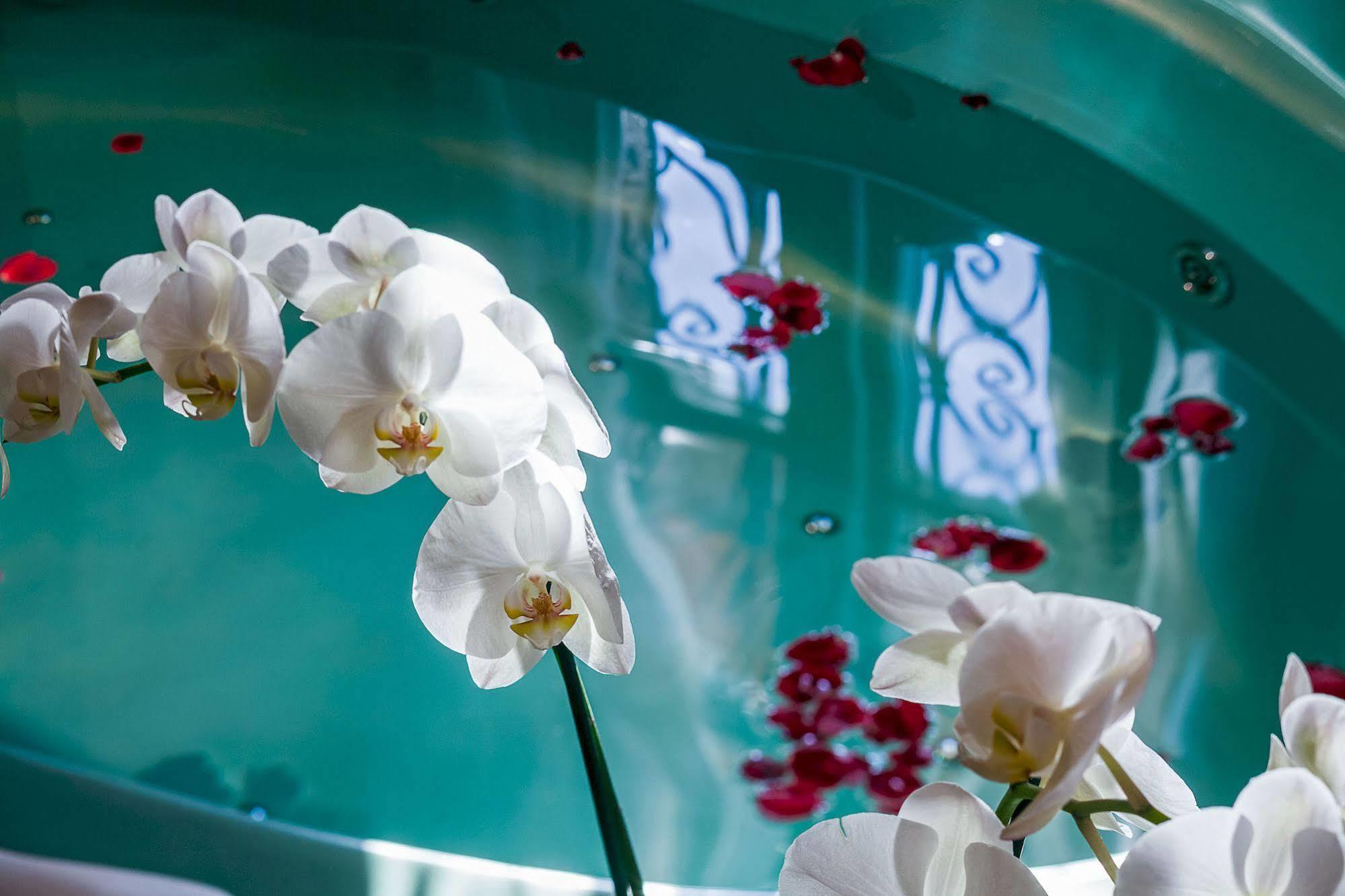 Palazzo Del Vicere Aparthotel เลซเซโน ภายนอก รูปภาพ